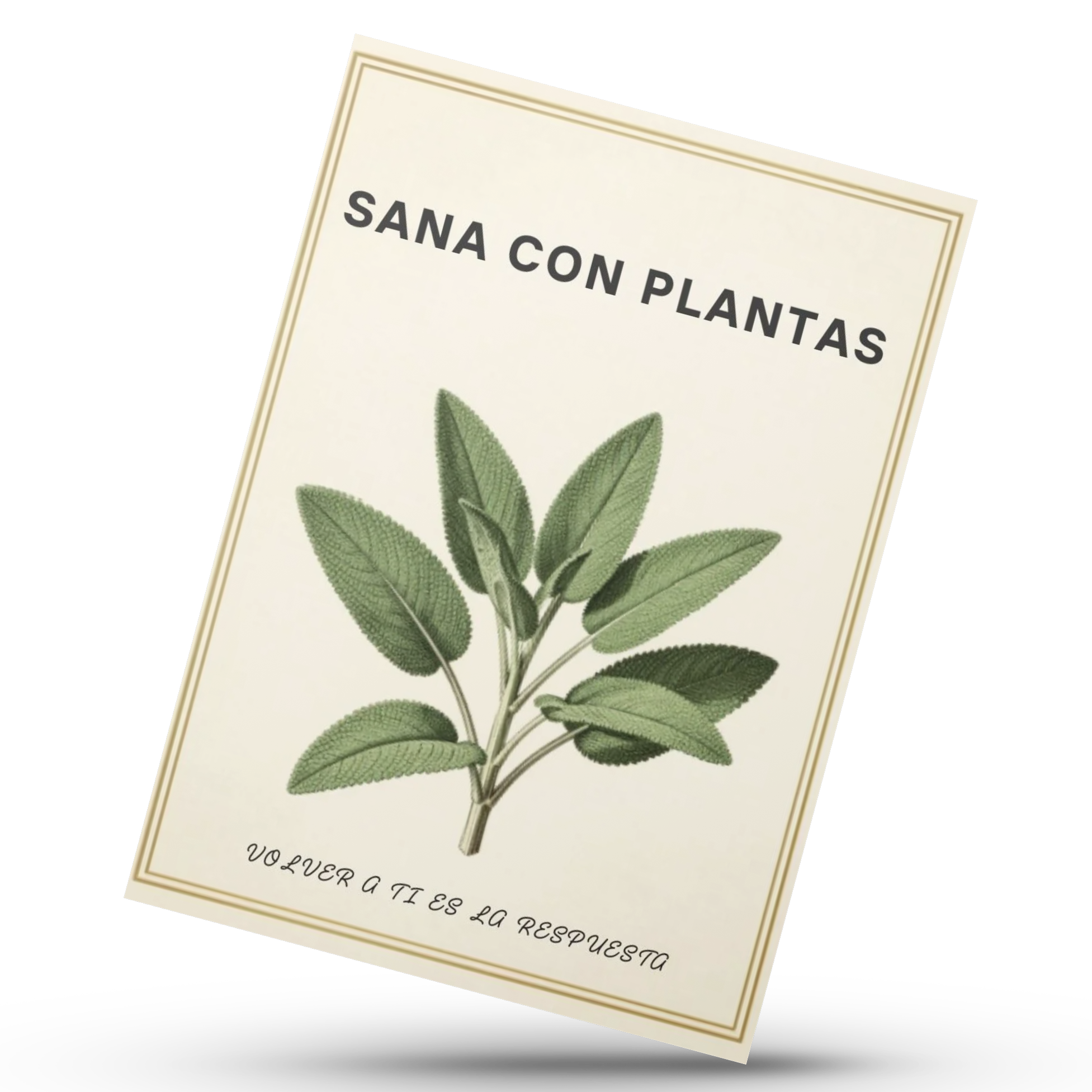 SANA CON PLANTAS